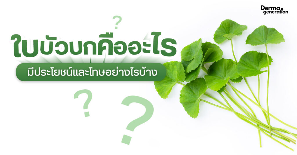 ใบบัวบก