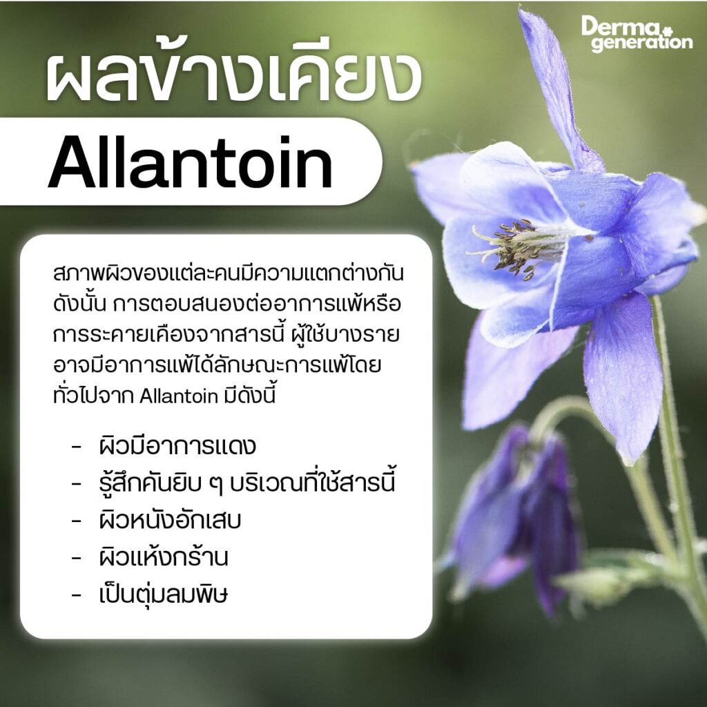 Allantoin ในกระบวนการซ่อมแซมผิว