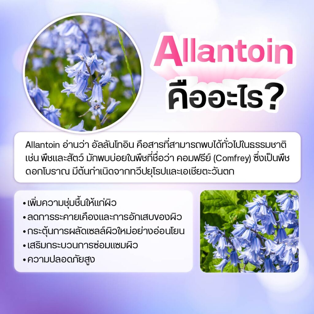 สาร Allantoin ที่ใช้เป็นส่วนผสมในเครื่องสำอาง