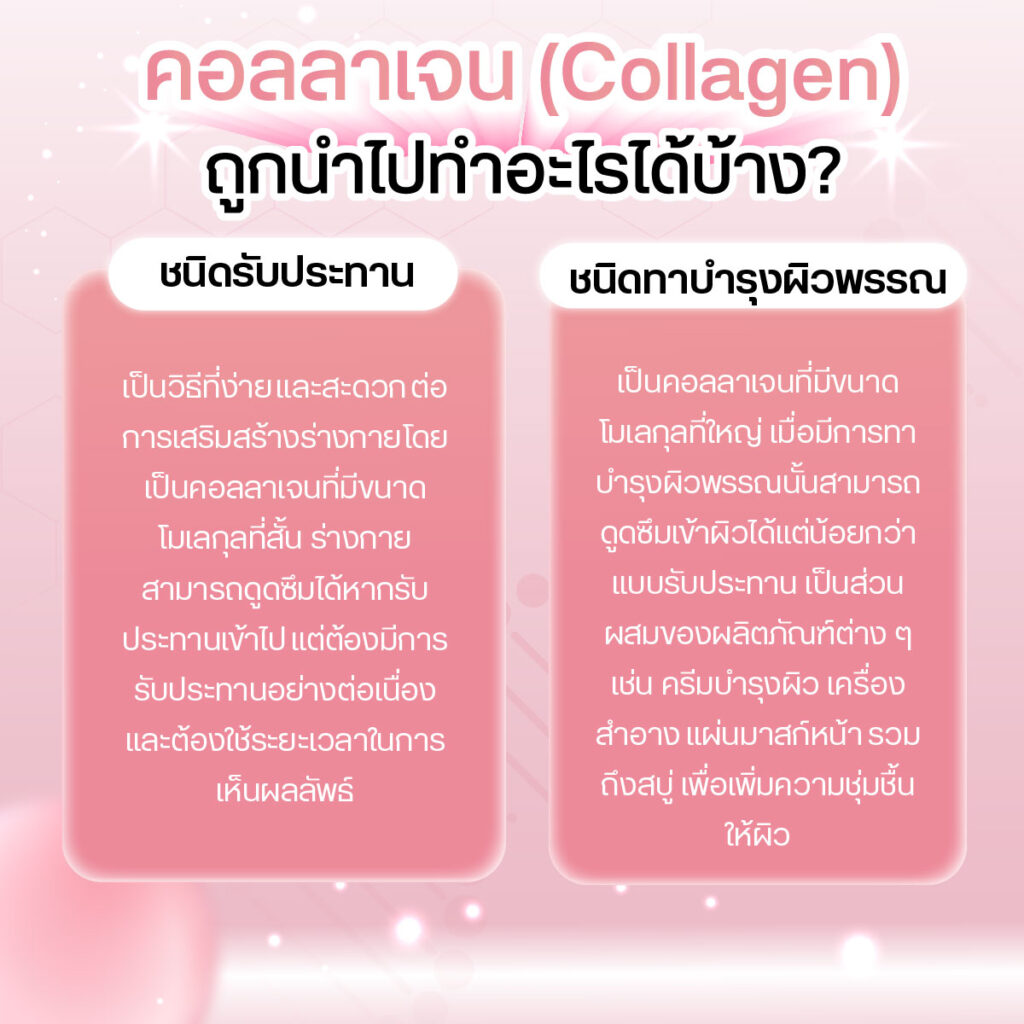 คอลลาเจน ถูกนำไปใช้อะไรบ้าง