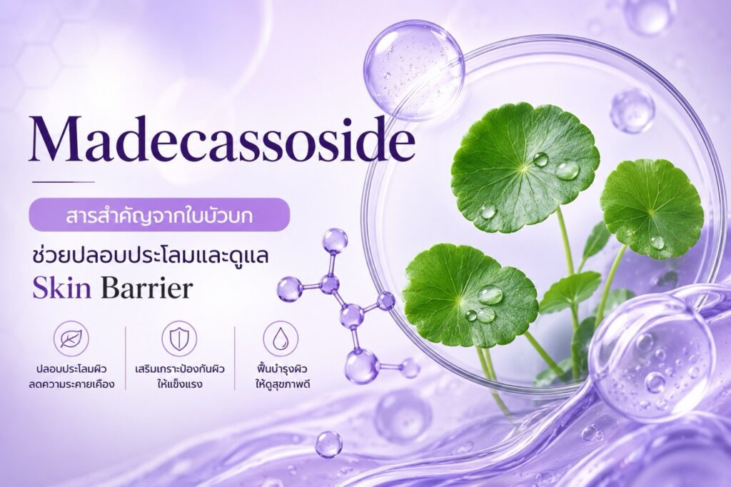 Madecassoside คืออะไร? สารสำคัญจากใบบัวบกเพื่อปลอบประโลมและดูแล Skin Barrier