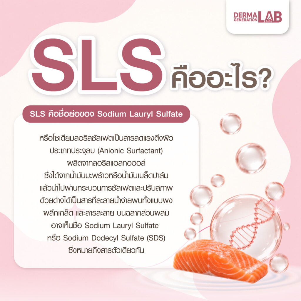 SLS คืออะไร